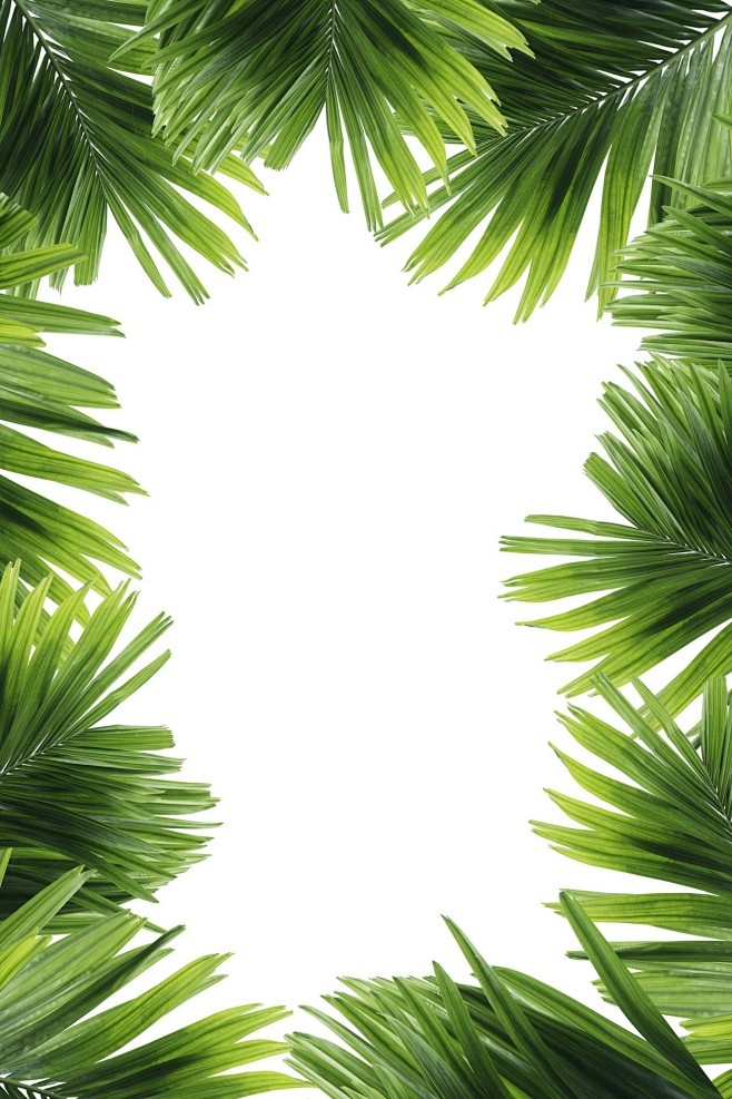 1326×1990