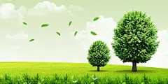 绿草地的背景图 