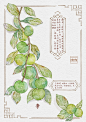 【本草纲目】水彩手绘图鉴九宫格成就达成~