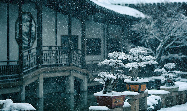 白雪却嫌春色晚，故穿庭树作飞花。 ——韩愈《春雪》 