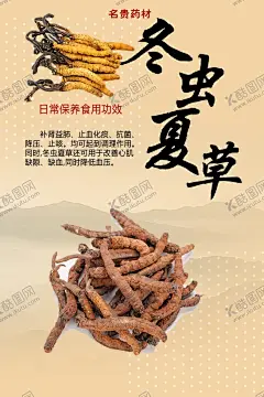 汤料介绍冬虫夏草 【酷图网】营养品汤料,汤料海报,冬虫夏草,虫草海报,滋补品,养生品,靓汤,养生加油站,美颜汤料,营养品海报,海报设计,参茸,名贵药材,药店广告,药材宣传,药店文化上墙,药材商行