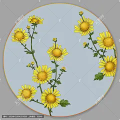 洋甘菊甘菊手绘甘菊甘菊插画野菊花小雏菊雏菊菊花茶包装水彩包装花卉菊花本本封面古风花卉抱枕图案设计面膜包装插图水彩花卉插画