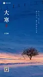 大寒节气祝福实景手机海报