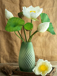 顶尖设计DMG采集到工业设计