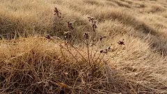 IMG20171226114432