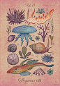 海底世界海洋生物插画 [15P]-VLADIMIR stankovic[15P] (2).jpg