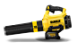 DEWALT 20v Blower : This was designed as part of a range of outdoor tools powered by DeWalt's 20v battery system.  It is the brands first axial blower.