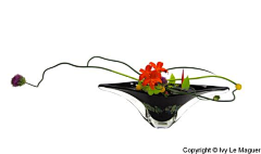 不想懂得~~~采集到Floriculture-花艺