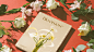 brand flowershop identity visual identity