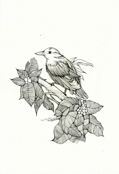 线描-花瓣网|陪你做生活的设计师 | 本沃采集到画61线条 - 花瓣