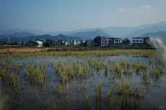 田间散步影像 - 小红书