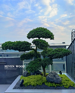 秋叶萧萧下采集到A景观风格-枯山水/砾石/日式
