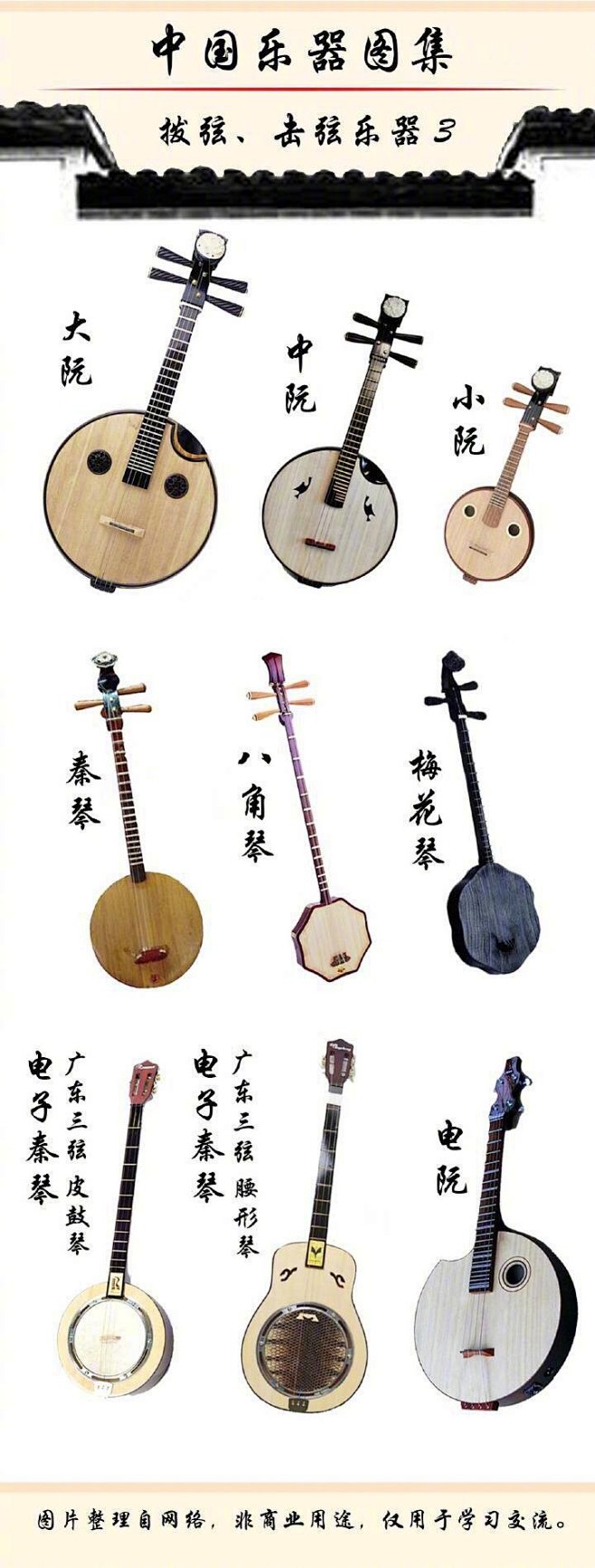 集