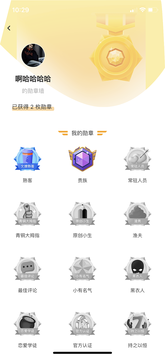 【文撩】社交APP-用户勋章墙 展示页