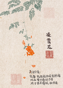 甜酒煮蛋采集到水果