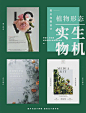 平面设计中需要用到植物，你会如何处理？

整理总结 9 个常用植物形态处理技巧，遇到类似的需求，可以借鉴。 ​​​