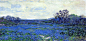 矢车菊之海，by Julian Onderdonk【潦倒的画家在德州乡下日复一日地画着漫山遍野的矢车菊，无论晨昏阴晴，直到生命终结。如今他被称为德州绘画之父，总统用他的作品装饰白宫，达拉斯美术馆的几个展厅只展出他的作品。对有些人来说，成功总是来得太晚