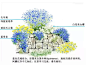 Blue Garden 如何打造蓝色主题花境和花园？ : 色彩是花境中最重要的组成和表现部分，花境按色彩可分为单色、双色、混色花境。单色花境即整个花境由单一色系的花境植物组成，双色花境则由两种主要颜色构成，混色即由多种颜色构成的花境...