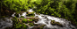 Rainforest Waterflow by Luis Lyons on 500px