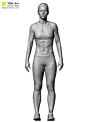 Over 600 Anatomy reference images
