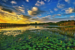 李敏贤采集到风景