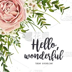 粉色,紫色,式样,贺卡,玫瑰,菜园,可爱的,明信片,自然,花