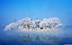 摄影 摄影作品 摄影照片 摄影图片 高清摄影 拍摄图片 壁纸 高清壁纸 电脑壁纸 风景拍摄 风景特写 飞鸟 湖面 湖水 冬天 冬季