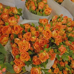 朋友圈背景图堆糖美图壁纸兴趣社区美图背景图高清素材 设计图片 免费下载 页面网页 平面电商 创意素材