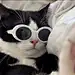 重生之我在杭州做设计