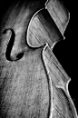 8 X 12 Black and White Fine Art Photography Print, Cello: 