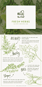 Such a beautiful graphic. The Flat - Fresh Herbs for culinary & medicinal uses: 