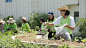 泰国最大的屋顶康复疗养花园 / LANDPROCESS – mooool木藕设计网