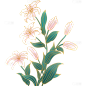 植物系列国潮风金线描边百合花花枝元素