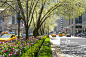 街道,纽约,派克大街,曼哈顿中心,美国正版图片素材