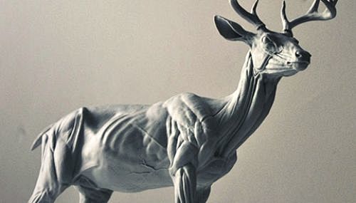 Sculpting Animals wi...