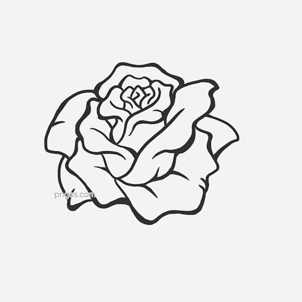 手绘花卉装饰复古玫瑰花图片大小2000x...
