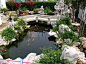 庭院太湖石假山鱼池、小桥图片