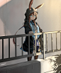 画师pix：Naddo