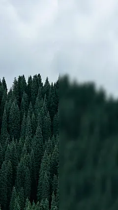 手机壁纸，一半海水一半火焰，一半清醒一半醉-今日头条