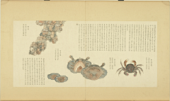 木槿花开(采集)采集到古画-动物