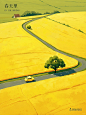 Midjourney｜油菜花海里的小汽车