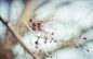 Fragile World·1
