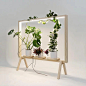 Greenframe is a mixture of a room divider, green furniture and light fixture. A stripped and restrained furniture in solid wood. Designed by indoorgardenGreenframe is a mixture of a room divider, green furniture and light fixture. A stripped and restraine