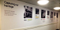 Timeline Wall Graphics for The Institute of Cancer research