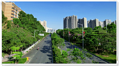 K_Jun_采集到场景 市政道路绿化