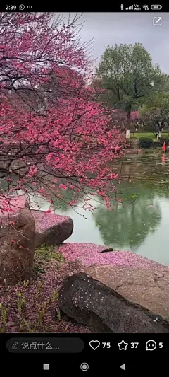 花草集 - 高清图片，堆糖，美图壁纸兴趣社区