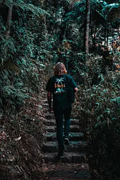 森林高清摄影素材