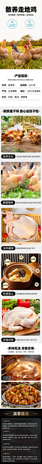 童子鸡详情页