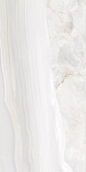 webp (658×1316)
