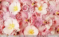 鲜花素材背景底纹-底纹边框-设计图-免费素材下载